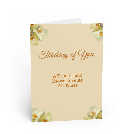 Thinking of You, True Friend/JW Greeting Cards/Set of 10